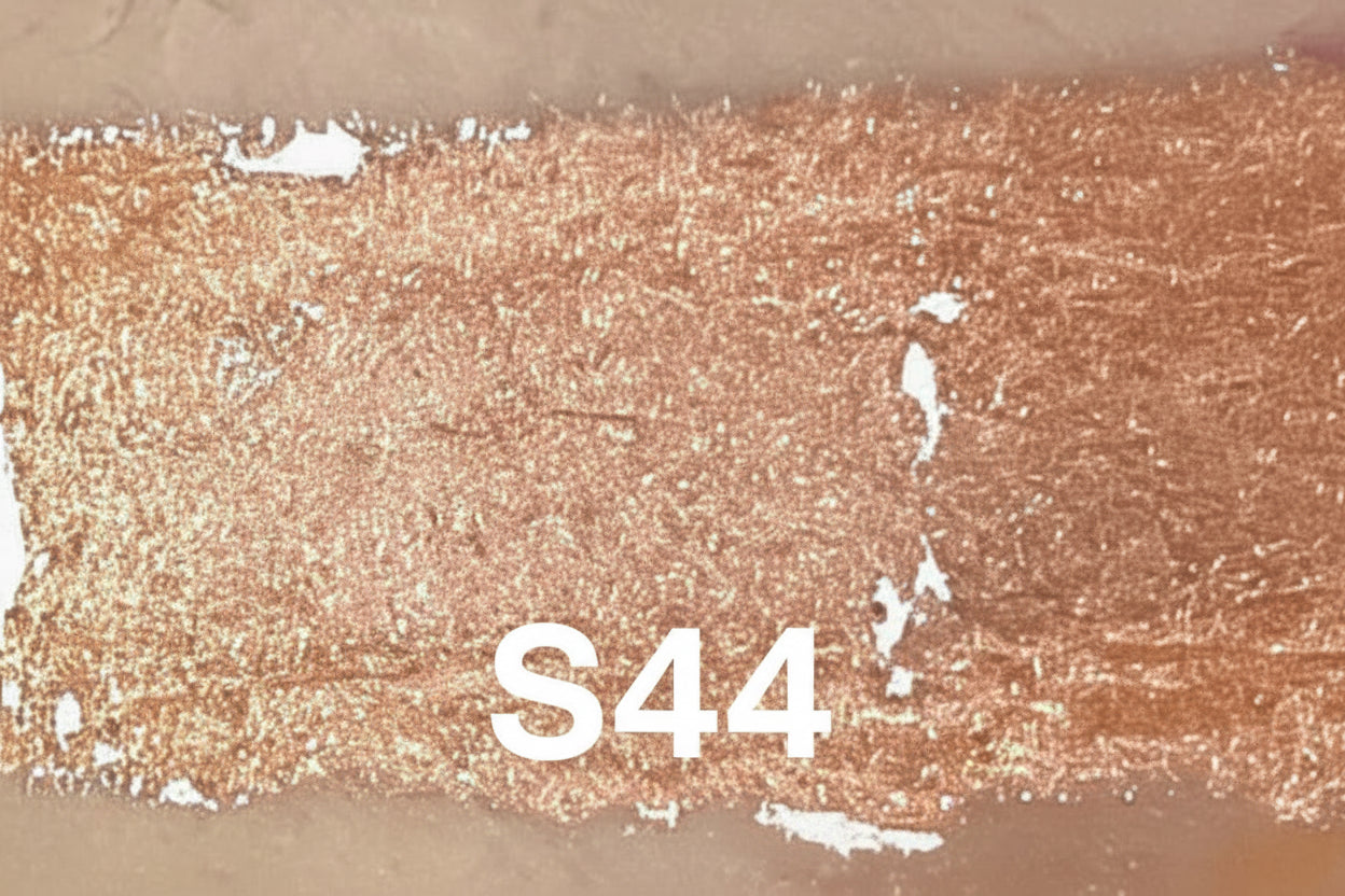 WhisperGloss™ Lip Elixirs