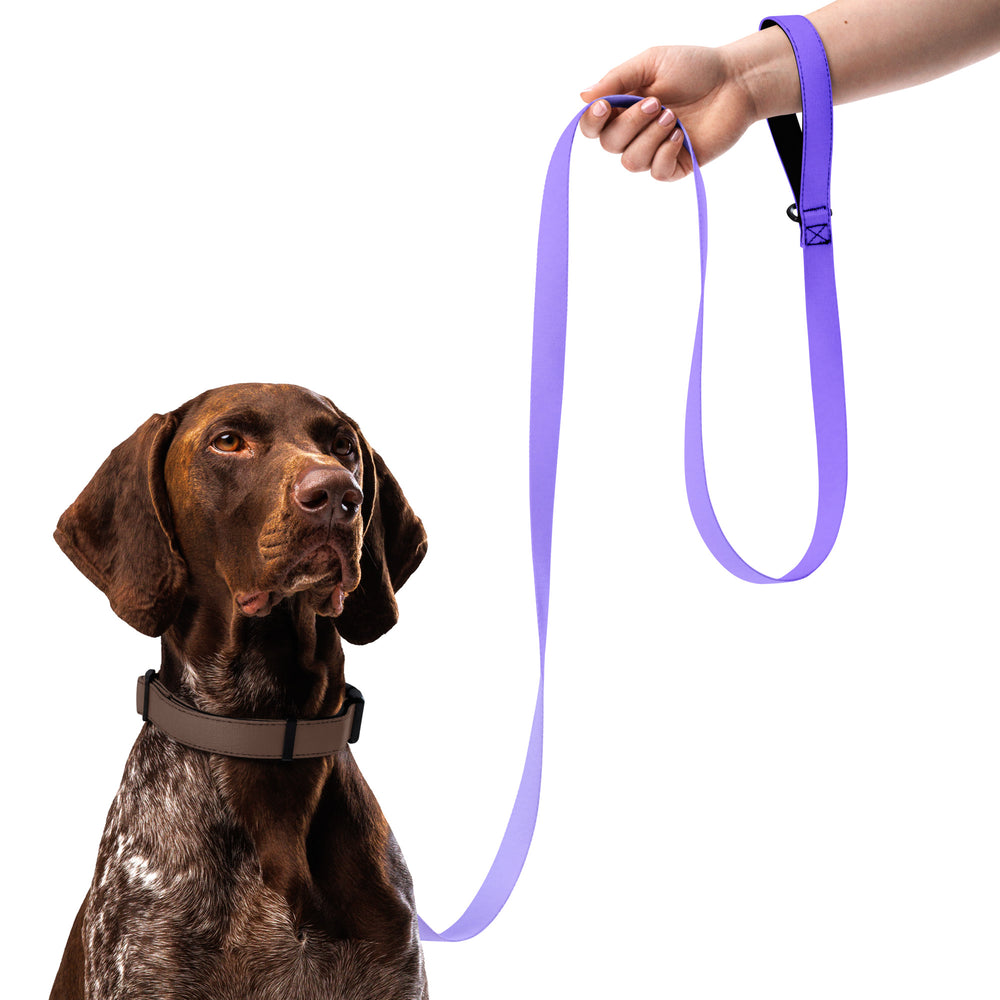 CalmCaressASMR Leash